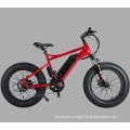 Green Power 48V 500W Fat Tire Small Folding Electric Bike for Wholesale